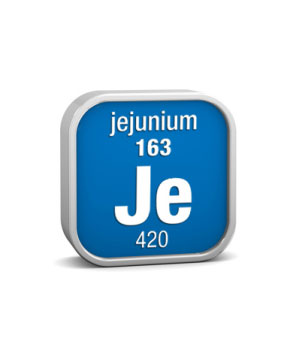 Jejunium